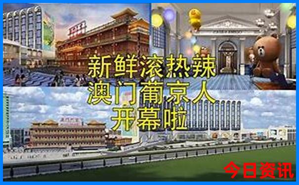 山本最建议买的三样东西